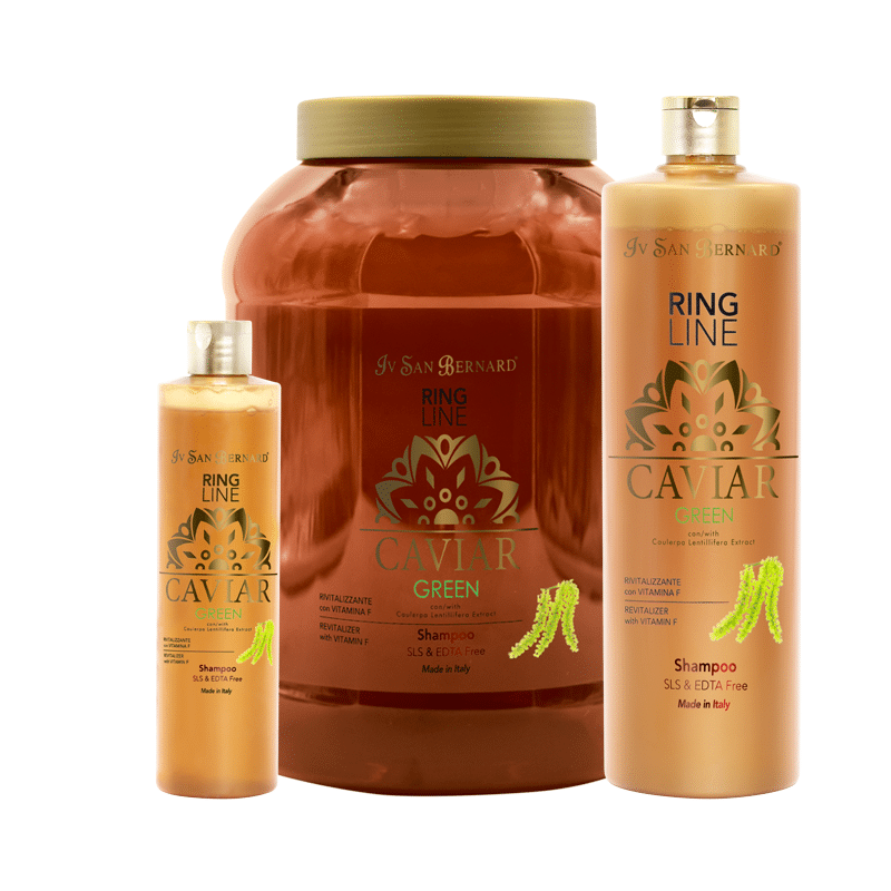 Iv San Bernard Luxury Show Ring Caviar Green Pet Shampoo – Groomerverse