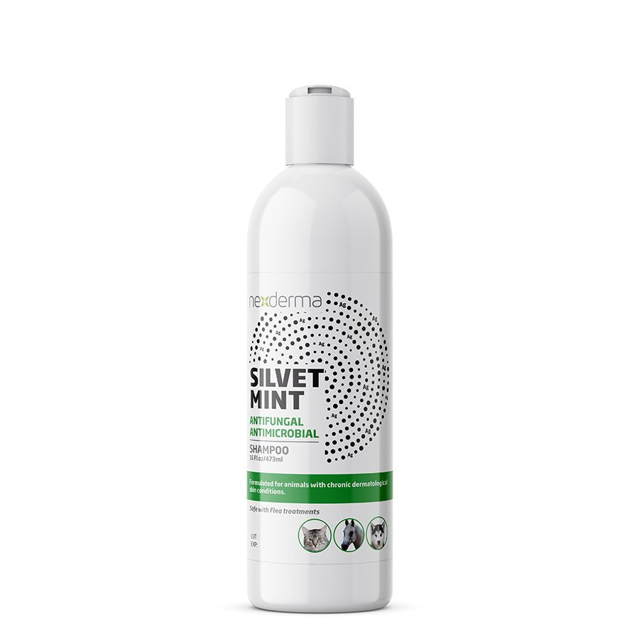 Nexderma Silvet Antifungal & Antimicrobial Pet Shampoo contains 30ppm of Colloidal Nano Particles of Silver, suspended in a Stem-Gel based proprietary formula. This advanced product supports healthy skin and coat, relieving pain, itching, swelling and stinging, while clinically proven to speed up healing of common skin conditions. Mint fragrance 16oz.