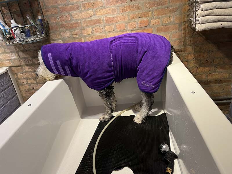 Ultra Pet Drying Robes in Grey