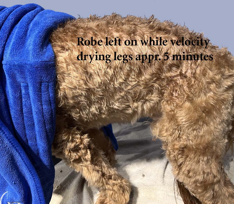 Ultra Pet Drying Robes in Grey