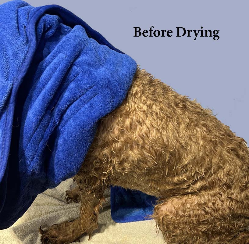 Ultra Pet Drying Robes in Grey