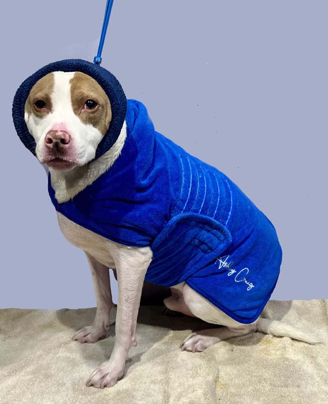 Ultra Pet Drying Robes in Grey