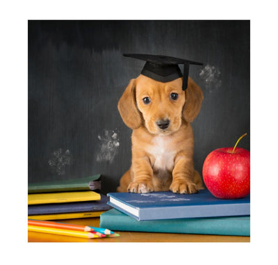 Educational Products