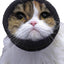 Happy Hoodie®, the original Head Hug for Pets™, muffles the loud noise from velocity driers and keeps the high-pressured, blown air away from the ear canals. This versatile pet calming band for dogs and cats is a straight forward, cost effective answer to reduce anxiety, stress, behavioral issues and save time. Size XS Black.