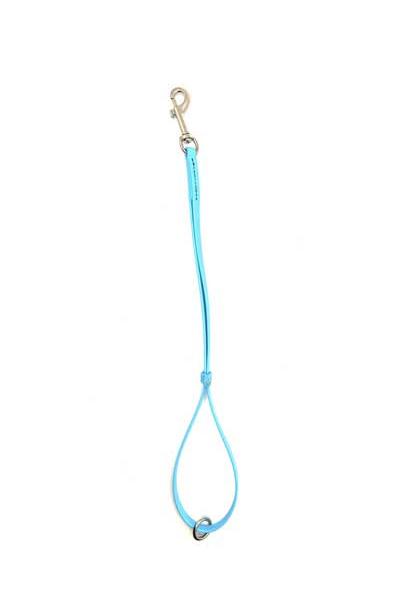 Our water proof USA made BioThane pet grooming loops are ideal for tub to table use. Easy to clean and odor resistant, durable, strong and flexible.  Light Blue