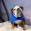 Greyhound: Ultra Pet Drying Robes