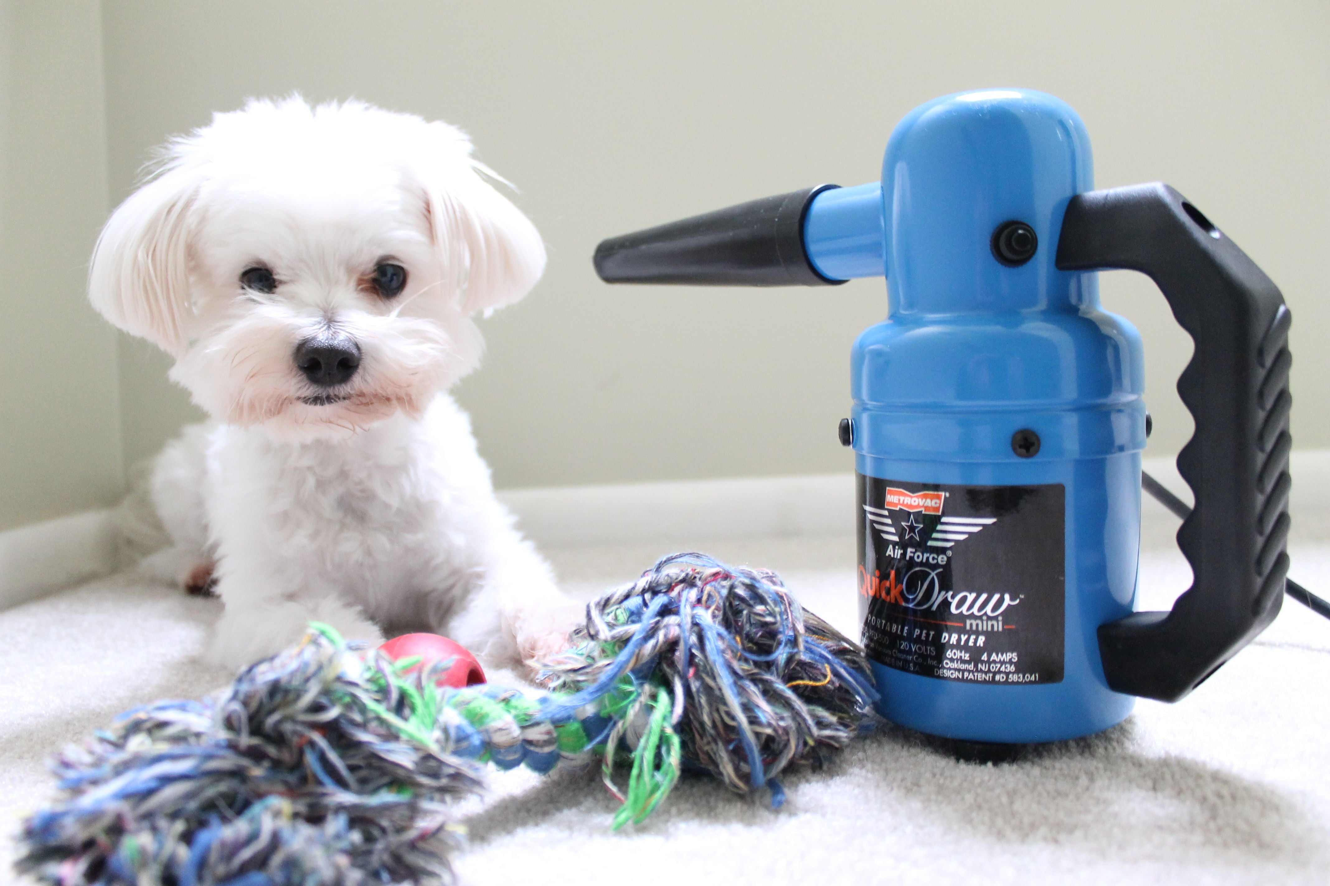 The Air Force® Quick Draw® Mini Portable Professional Pet Dryer allows for velocity drying dogs and cats. Easily transported for home grooming clients, dog show handlers or competition grooming events. Great for In-Home Grooming.