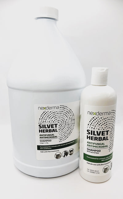 Nexderma's Silvet Antifungal-Antimicrobial Pet Shampoo contains Colloidal Silver, suspended in our Stem-Gel based proprietary formula. This advanced product supports healthy skin and coat, relieving pain, itching, swelling and stinging, while clinically proven to speed up healing of common skin conditions.