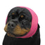 Happy Hoodie®, the original Head Hug for Pets™, muffles the loud noise from velocity driers and keeps the high-pressured, blown air away from the ear canals. This versatile pet calming band for dogs and cats is a straight forward, cost effective answer to reduce anxiety, stress, behavioral issues and save time. Size XL Pink.