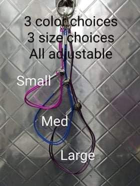 All for Groomers Trach Savaer comes in four sizes small, medium, large and extra large.