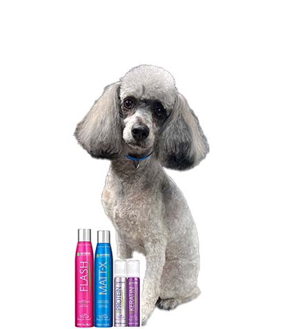 Smooth, rebuild, detangle and create shine with Artero finishing sprays developed based on the coat length and type to provide the optimal finish. 