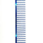 Greyhound Professional Pet Comb' Bitch Collection features a 9.875"L x 1.75"W Extra Extra Coarse tine which gives superior styling control for medium and long coat types. These versatile combs have been a staple of the pet grooming industry for over 100 years, and are available in the Candy Color Collection, Blue Candy.
