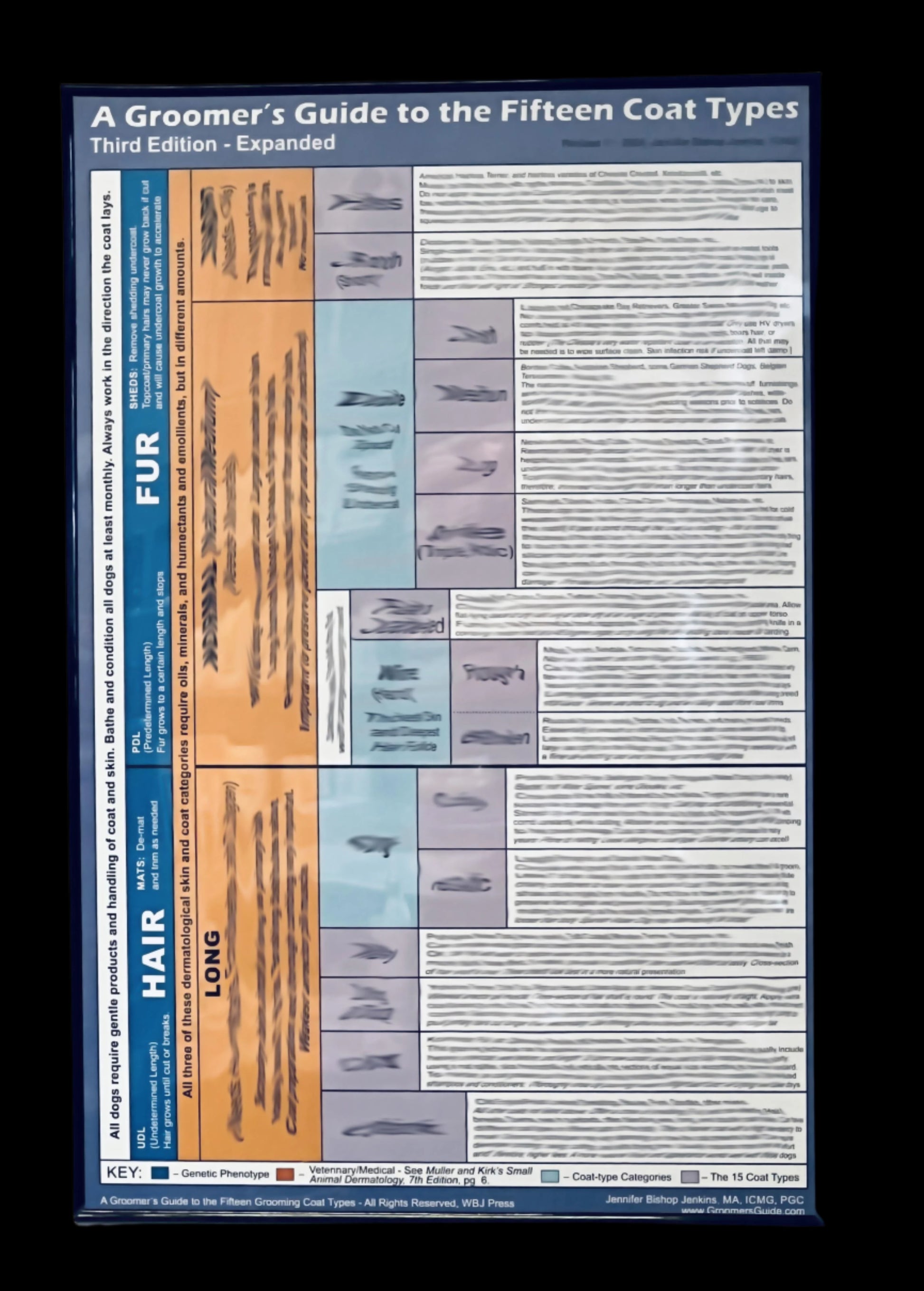 The Groomer’s Guide 15 Coat Type updated third edition, 24" x 36" large poster framed, is a perfect reference for the professional pet groomer.&nbsp; This reference is the condensed highlighted information for the PGC recognized preparatory course “15 Coat Types ” Seminar and soon to be expanded Book researched and written by Jennifer Bischop-Jenkins, ICM.&nbsp; This product is sold in our showroom or delivered locally. We do not ship this product. However, it will be available at all trade shows we attend.