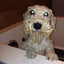Seminar Theory of Bathing with Live Demo