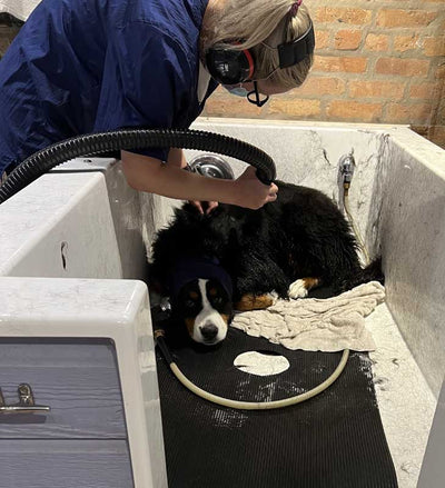 Seminar Theory of Bathing with Live Demo