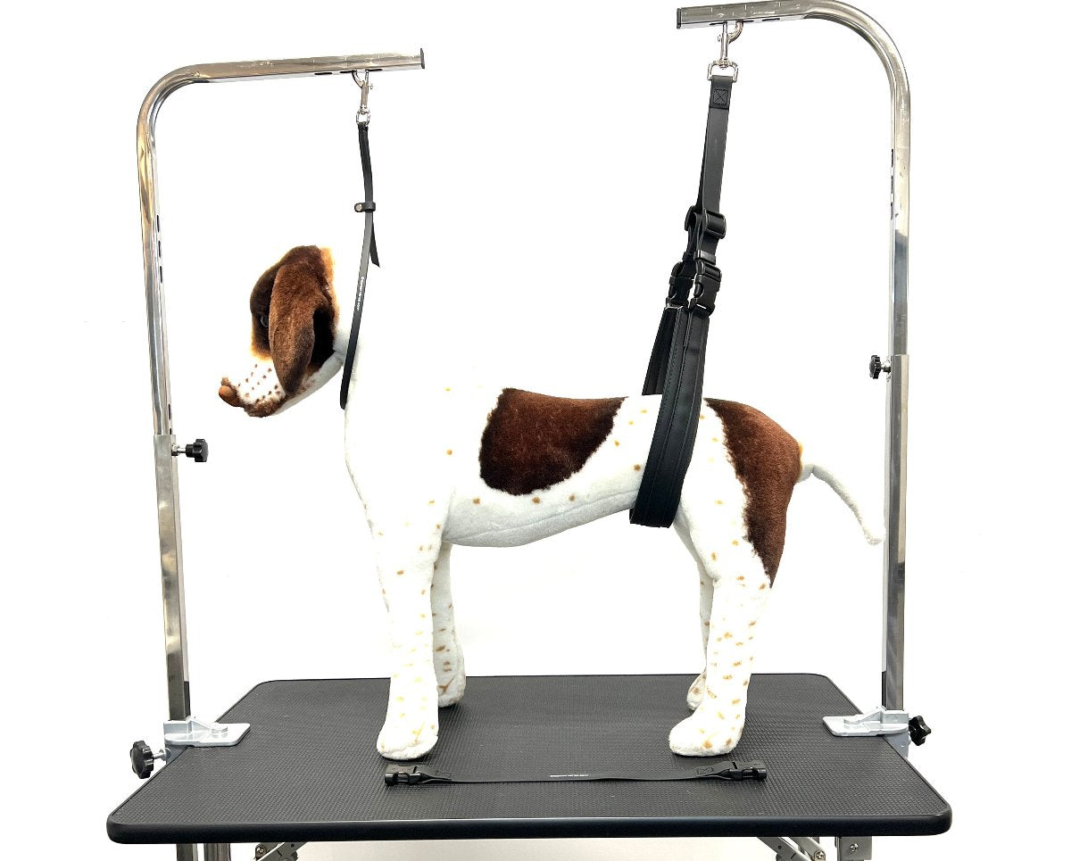 The groomerverse flexible belly band with quick release sling is designed to help for rear support and safety. This product comes with the larger padded belly strap and a smaller strap without padding. Biothane is easy to clean, odor resistant and comes in a variety of colors allowing for visual organization or a stylized workspace. Usage example.