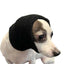 The Happy Hoodie® is the original Head Hug for Pets™. This product muffles the loud noise from velocity driers and keeps the high-pressured, blown air away from the ear canals while absorbing moisture from ears and head, speeding up dry times. Happy Hoodie Black Extra Small on Chihuahua Mix.