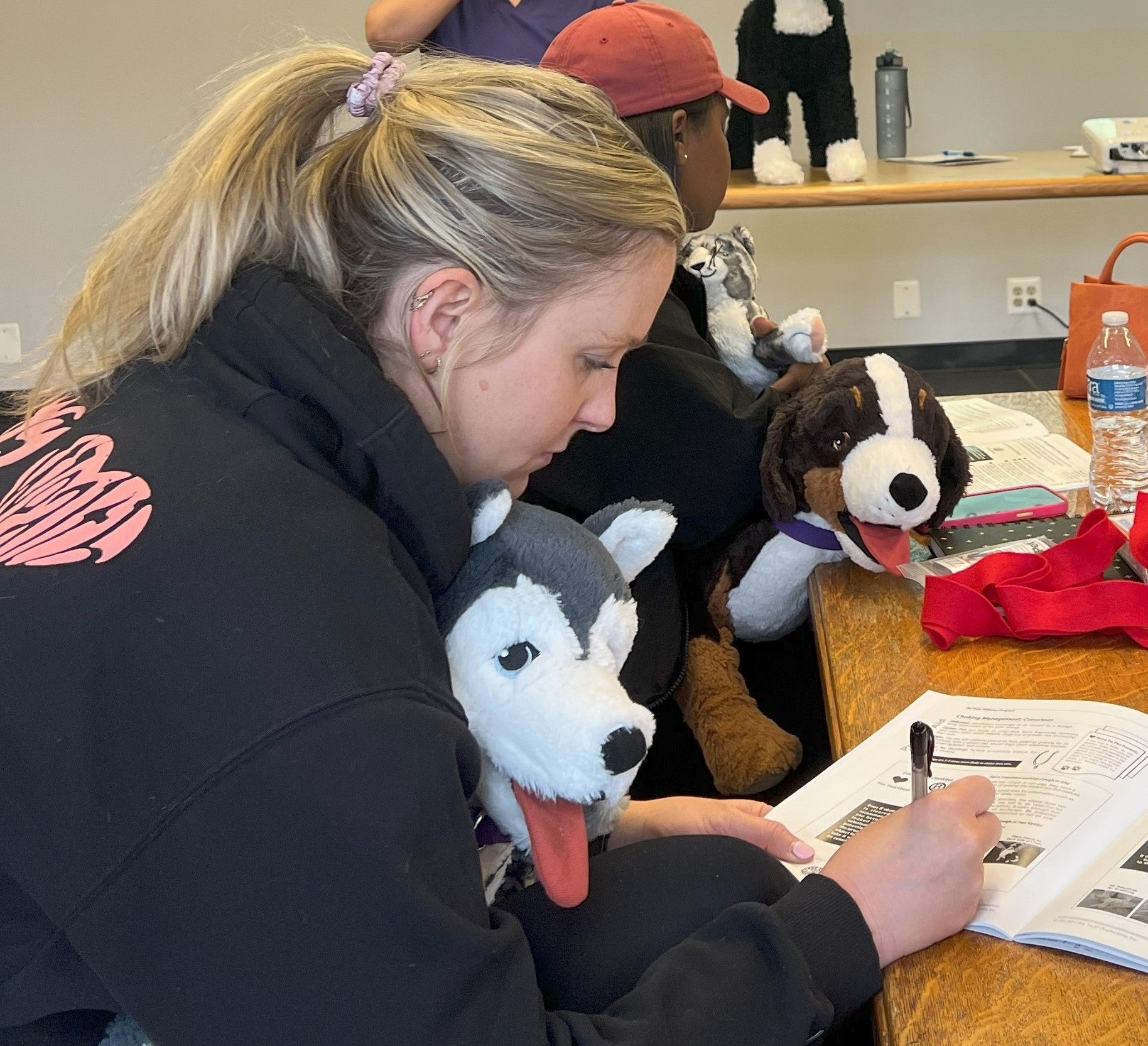 This in-person seminar with Lisa Herbold, covers topics that can save a pet's life and prevent client miscommunication. Discover the various health issues that can impact the grooming routine and understand when it's appropriate for the client to consult a veterinarian. Educate yourself on the factors that may require professional intervention or modifications to the groom.