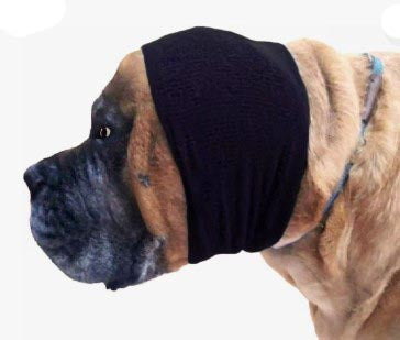 Happy Hoodie® Singles Pet Calming Bands in Black
