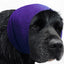 The Happy Hoodie® is the original Head Hug for Pets™. This product muffles the loud noise from velocity driers and keeps the high-pressured, blown air away from the ear canals while absorbing moisture from ears and head, speeding up dry times. Extra Large Puple on Newfandland.