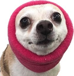 The Happy Hoodie® is the original Head Hug for Pets™. This product muffles the loud noise from velocity driers and keeps the high-pressured, blown air away from the ear canals while absorbing moisture from ears and head, speeding up dry times. Happy Hoodie. Extra Small Pink on Chihuahua.
