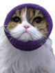 The Happy Hoodie® is the original Head Hug for Pets™. This product muffles the loud noise from velocity driers and keeps the high-pressured, blown air away from the ear canals while absorbing moisture from ears and head, speeding up dry times. Extra small on cat.