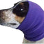 The Happy Hoodie® is the original Head Hug for Pets™. This product muffles the loud noise from velocity driers and keeps the high-pressured, blown air away from the ear canals while absorbing moisture from ears and head, speeding up dry times. Med/Large Purple on hound.