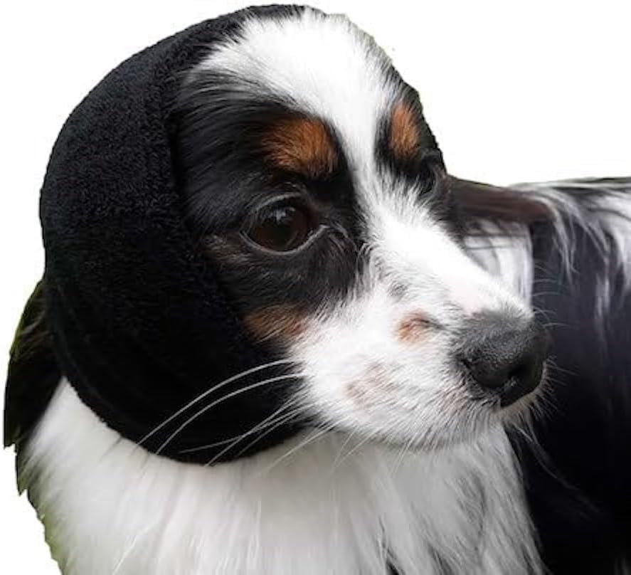 The Happy Hoodie® is the original Head Hug for Pets™. This product muffles the loud noise from velocity driers and keeps the high-pressured, blown air away from the ear canals while absorbing moisture from ears and head, speeding up dry times. Happy Hoodie Black Small on Mini Aussie.