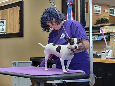 Lisa is an IPG International Certified Master Groomer, Award Winning Competitor, Master Pet Aesthetician, Master Behavior Specialist, educator, and Vet Tech. Hollus' specialties include retail ownership, salon ownership, grooming and Veterinary Technician/Emergency Hospital Admin roles. Both have been national speakers at the All-American Grooming Convention.