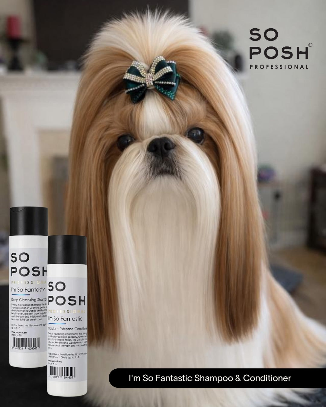 So Posh So Fantastic Shampoo and Conditioner used on Shit Tzu in Full Show Coat.