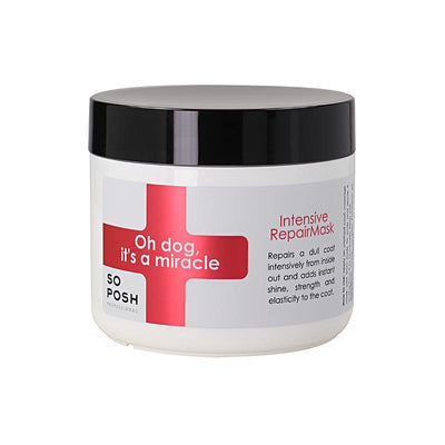 So Posh Oh Dog It's a Miracle Intensive Repair Pet Mask strengthens and smooths as it adds a vibrant shine. The combination of a proven protein complex including wheat protein adds shine while preventing breakage and allowing for greater elasticity. A blend of vitamins such as Provitamin B5 and Panthenol smooth the coat while softening and adding moisture. This repair mask is ideal with dogs that present with a dry, brittle coat and split ends due to environmental factors.